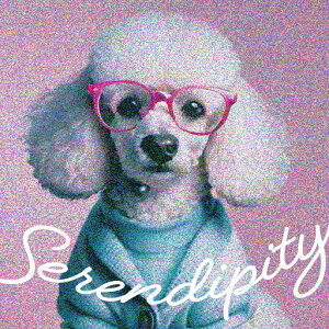 Kl v[h  ZfBseB NbVJo[ 45×45cm Aj}   NbV{̕t ` t@