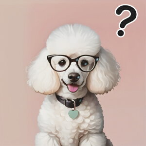 ዾ v[h n[g̎ NGX`}[N NbVJo[ 45×45cm Aj}   NbV{̕t ` t@