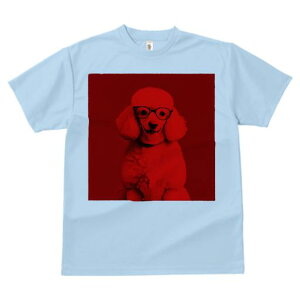 TVc Y LbY t@  t  vg JWA 킢 lԗp tBbglX _X Kl v[h bhtB^[