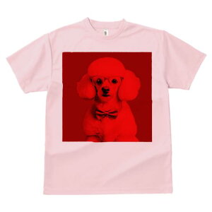 TVc Y LbY t@  t  vg JWA 킢 lԗp tBbglX _X ዾ v[h lN^C 