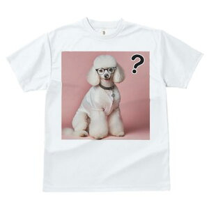 TVc Y LbY t@  t  vg JWA 킢 lԗp tBbglX _X Kl v[h  sN̔wi }[N