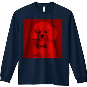 TVc lԗp Y Ht vg W[ AEghA JWA 킢 t@ ዾ v[h lN^C 