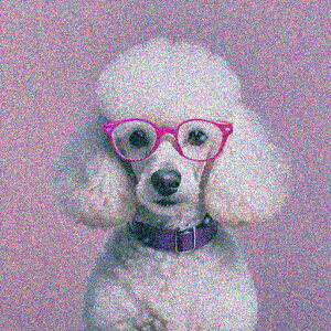 ዾ gCv[h NbVJo[ 45×45cm Aj}   NbV{̕t ` t@