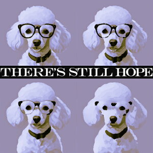 Kl v[h  ]  NbVJo[ 45×45cm Aj}  NbV{̕t ` t@