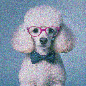 Kl v[h lN^C wi NbVJo[ 45×45cm Aj}   NbV{̕t ` t@