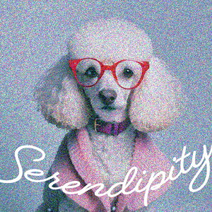 Kl v[h Z[^[ p̃eLXg ԐF NbVJo[ 45×45cm Aj}   NbV{̕t ` t@