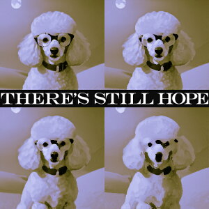 Kl v[h ] A[g |bvA[g Jt NbVJo[ 45×45cm Aj}   NbV{̕t ` t@