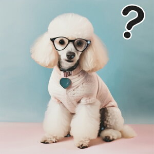 Kl v[h Z[^[ n[g^̃^O wi ^╄ NbVJo[ 45×45cm Aj}   NbV{̕t ` t@