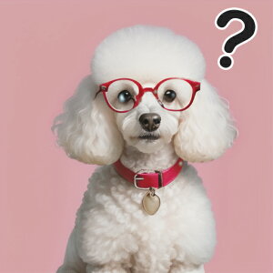 Kl v[h Ԃ sN̔wi n[g̃y_g ^╄ NbVJo[ 45×45cm Aj}   NbV{̕t ` t@