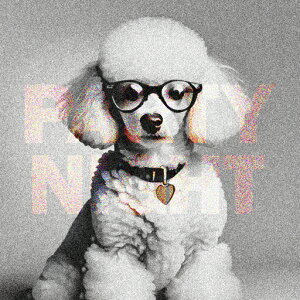 ዾ v[h n[g^̃^O ʐ^ NbVJo[ 45×45cm Aj}   NbV{̕t ` t@