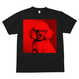 TVc Y LbY t@  t  vg JWA 킢 lԗp tBbglX _X Kl v[h