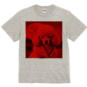 TVc Y LbY t@  t  vg JWA 킢 lԗp tBbglX _X Kl v[h R[g Ԃwi 