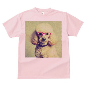 TVc Y LbY t@  t  vg JWA 킢 lԗp tBbglX _X Kl v[h ԂKl   ӂӂ