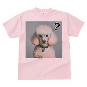 TVc Y LbY t@  t  vg JWA 킢 lԗp tBbglX _X ዾ v[h Š`̃y_g NGX`}[N