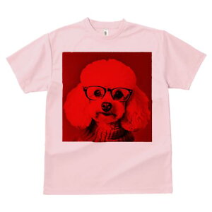 TVc Y LbY t@  t  vg JWA 킢 lԗp tBbglX _X Kl v[h Z[^[