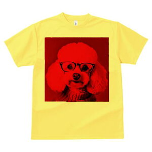 TVc Y LbY t@  t  vg JWA 킢 lԗp tBbglX _X Kl v[h Z[^[