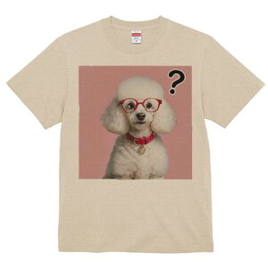 TVc Y LbY t@  t  vg JWA 킢 lԗp tBbglX _X Kl v[h Ԃ sN̔wi n[g̃y_g ^╄