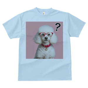 TVc Y LbY t@  t  vg JWA 킢 lԗp tBbglX _X Kl v[h Ԃ sN̔wi n[g̃y_g ^╄