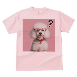 TVc Y LbY t@  t  vg JWA 킢 lԗp tBbglX _X Kl v[h Ԃ sN̔wi n[g̃y_g ^╄