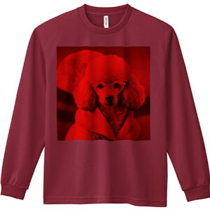 TVc lԗp Y Ht vg W[ AEghA JWA 킢 t@ Kl v[h R[g Ԃwi 