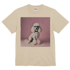 TVc Y LbY t@  t  vg JWA 킢 lԗp tBbglX _X Kl v[h sN̔wi 킢 X^CbV 