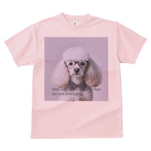 TVc Y LbY t@  t  vg JWA 킢 lԗp tBbglX _X Kl v[h {E^C F̔wi