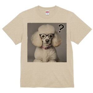 T�V���c �����Y �L�b�Y ���t�@�� ���� �t�� ���� �v�����g �J�W���A�� ���킢�� �l�ԗp �t�B�b�g�l�X �_���X ���K�l �v�[�h�� �s���N�̎�� �N�G�X�`�����}�[�N