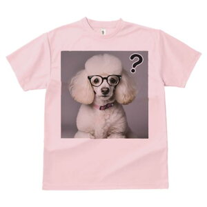 TVc Y LbY t@  t  vg JWA 킢 lԗp tBbglX _X Kl v[h sN̎ NGX`}[N