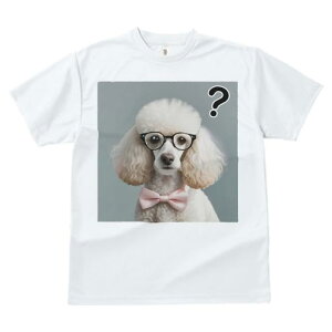 T�V���c �����Y �L�b�Y ���t�@�� ���� �t�� ���� �v�����g �J�W���A�� ���킢�� �l�ԗp �t�B�b�g�l�X �_���X ���K�l �v�[�h�� ���{�� �N�G�X�`�����}�[�N