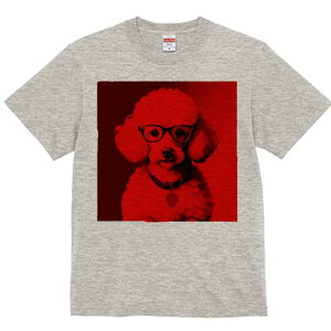 TVc Y LbY t@  t  vg JWA 킢 lԗp tBbglX _X Kl v[h n[g̃y_g