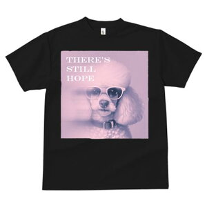 TVc Y LbY t@  t  vg JWA 킢 lԗp tBbglX _X Kl v[h eLXg