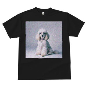 TVc Y LbY t@  t  vg JWA 킢 lԗp tBbglX _X Kl v[h  ybg