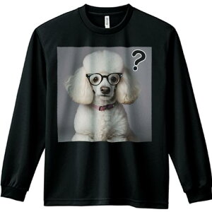 TVc lԗp Y Ht vg W[ AEghA JWA 킢 t@ Kl v[h sN̎ NGX`}[N