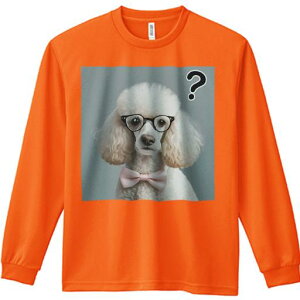 TVc lԗp Y Ht vg W[ AEghA JWA 킢 t@ Kl v[h { NGX`}[N