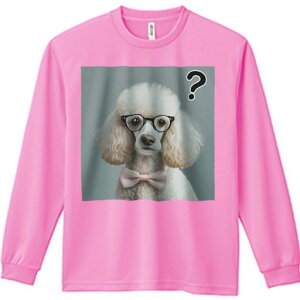 TVc lԗp Y Ht vg W[ AEghA JWA 킢 t@ Kl v[h { NGX`}[N