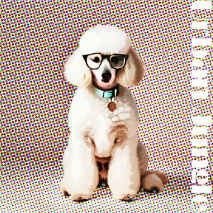 Kl v[h |bvA[g NbVJo[ 45×45cm Aj}   NbV{̕t ` t@