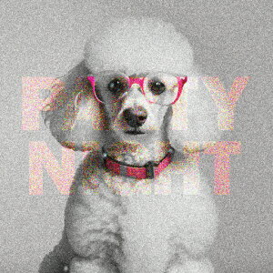 ���K�l �v�[�h�� �p�[�e�B�[ �J���[ �N�b�V�����J�o�[ 45×45cm �A�j�}���� ������� ���� �N�b�V�����{�̕t�� �����` ���t�@��