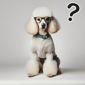 Kl v[h NGX`}[N NbVJo[ 45×45cm Aj}   NbV{̕t ` t@