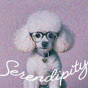 Kl v[h  n[g̃^O ZfBseB NbVJo[ 45×45cm Aj}   NbV{̕t ` t@