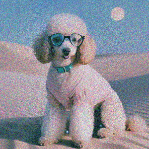 Kl v[h   NbVJo[ 45×45cm Aj}   NbV{̕t ` t@