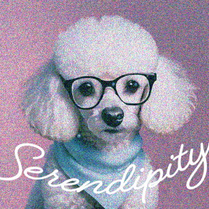 Kl v[h XJ[t  sN̔wi NbVJo[ 45×45cm Aj}   NbV{̕t ` t@