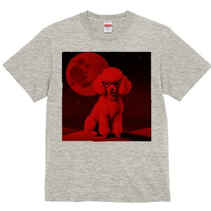 TVc Y LbY t@  t  vg JWA 킢 lԗp tBbglX _X Ԃ v[h Kl  