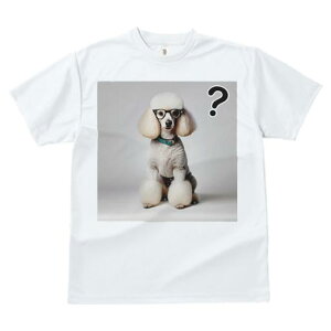 TVc Y LbY t@  t  vg JWA 킢 lԗp tBbglX _X Kl v[h NGX`}[N