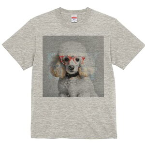 TVc Y LbY t@  t  vg JWA 킢 lԗp tBbglX _X p[eB[ v[h Kl  