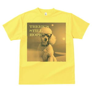 TVc Y LbY t@  t  vg JWA 킢 lԗp tBbglX _X Kl v[h  wi eLXg