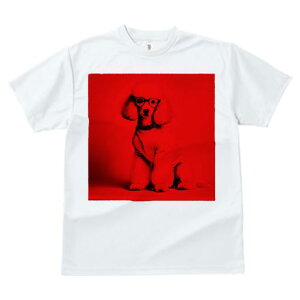 TVc Y LbY t@  t  vg JWA 킢 lԗp tBbglX _X Kl v[h Z[^[