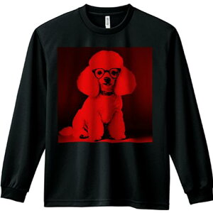 TVc lԗp Y Ht vg W[ AEghA JWA 킢 t@ Kl v[h 