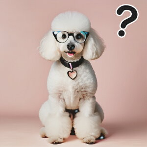 ዾ v[h n[g̃y_g sN̔wi ^╄ }[N NbVJo[ 45×45cm Aj}   NbV{̕t ` t@