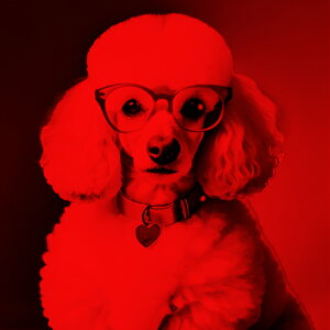 Kl v[h n[g`[  NbVJo[ 45×45cm Aj}   NbV{̕t ` t@