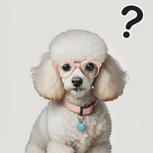 Kl v[h  n[g ^╄ NbVJo[ 45×45cm Aj}   NbV{̕t ` t@